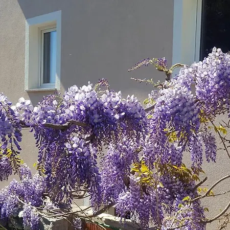 빌라 Elegant Sea View 바카